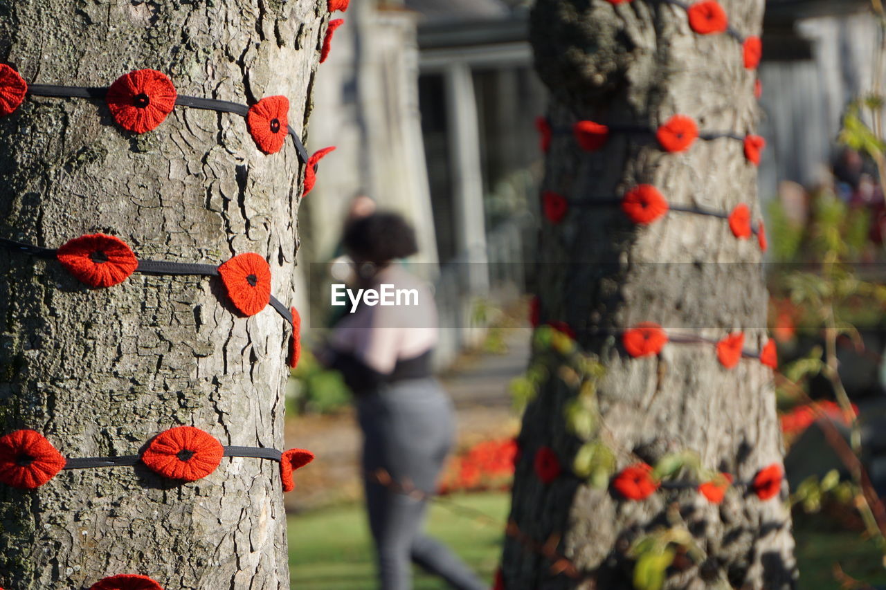 red, spring, autumn, flower, tree, tree trunk, trunk, plant, nature, day, focus on foreground, outdoors, one person, architecture, art, adult, clothing, women, built structure, men, tradition, decoration, celebration, standing, leaf