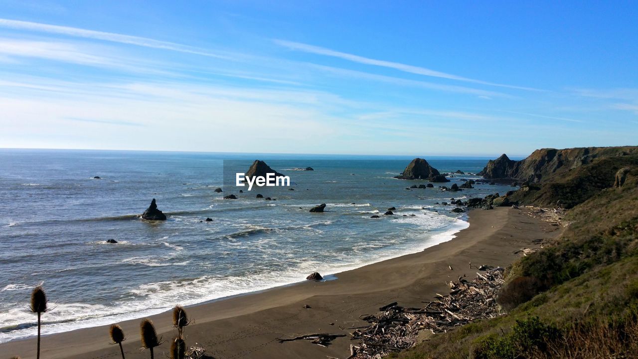 Scenic view of beach with tumbled driftwood against ocean.