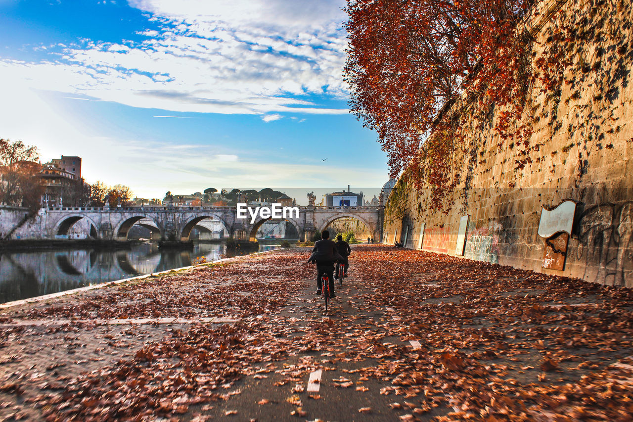 REAR VIEW OF WOMAN WALKING ON ROAD AMIDST AUTUMN TREES