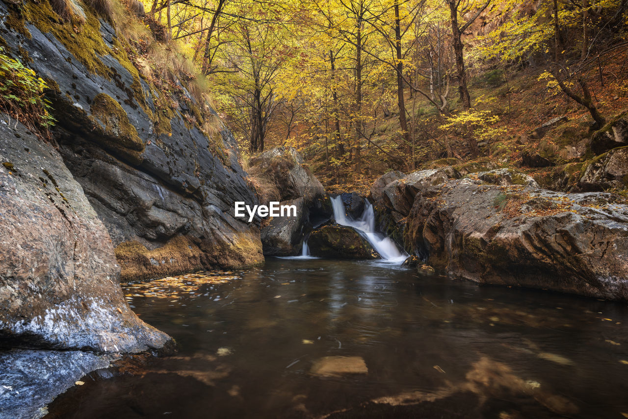 STREAM AMIDST ROCKS IN FOREST