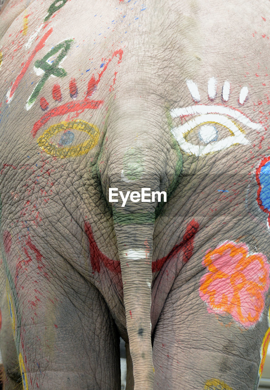 Rear view of elephant with anthropomorphic face