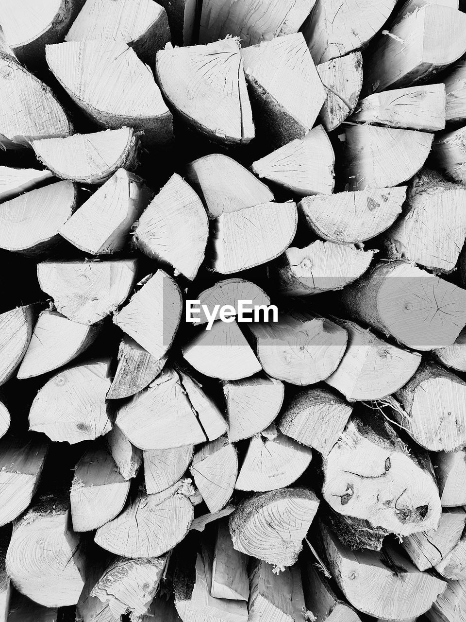 FULL FRAME SHOT OF FIREWOOD LEAVES