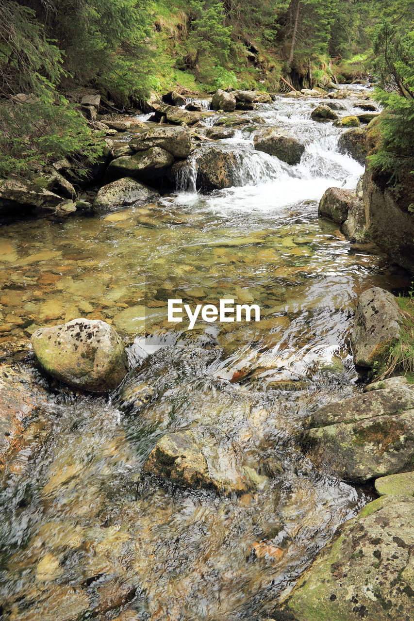 River flowing through rocks in forest