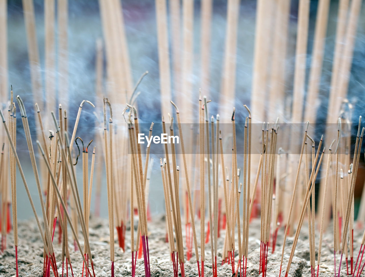 Close-up of incense burning