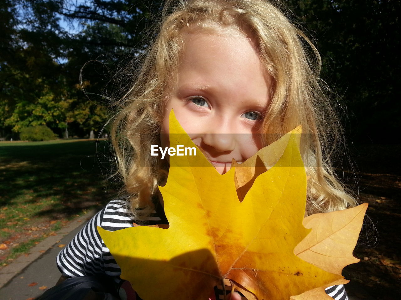 Portrait of smiling girl holding maple leaf while standing in park