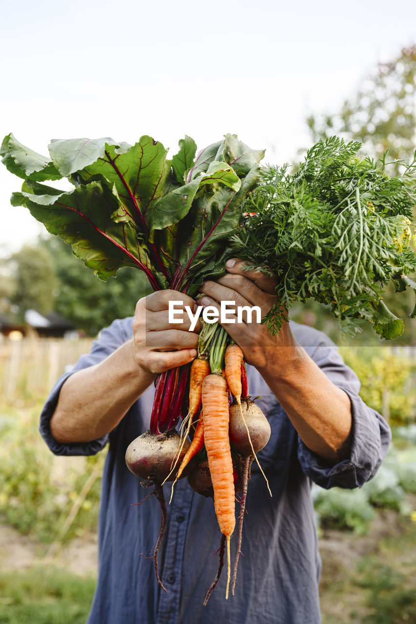 Man hiding face with vegetables in garden
