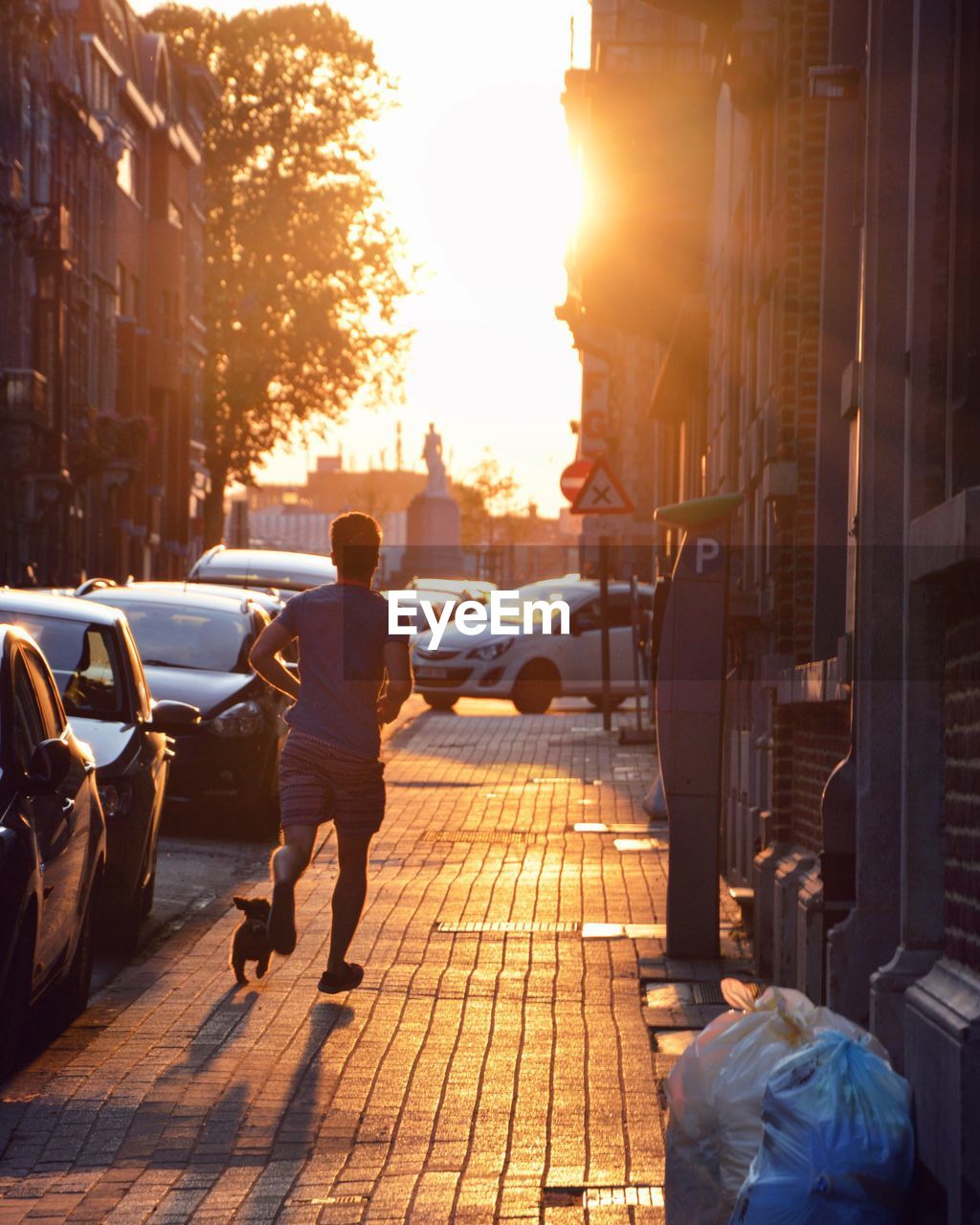 Rear view of man jogging by dog on footpath in city during sunset