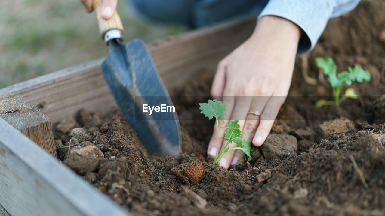 midsection of man gardening