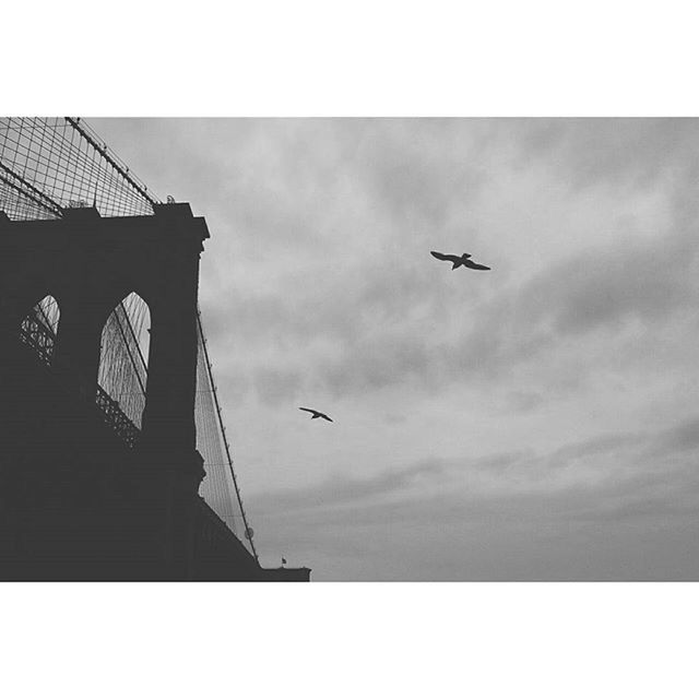 LOW ANGLE VIEW OF AIRPLANE FLYING OVER CITY