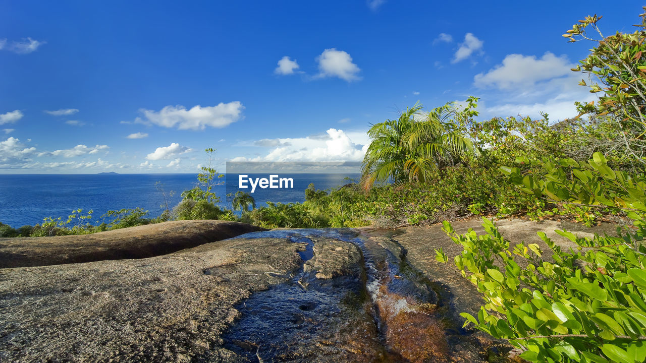 Landscape on the island of praslin. a stream flows along the rock,  tropical plants cover the rock. 