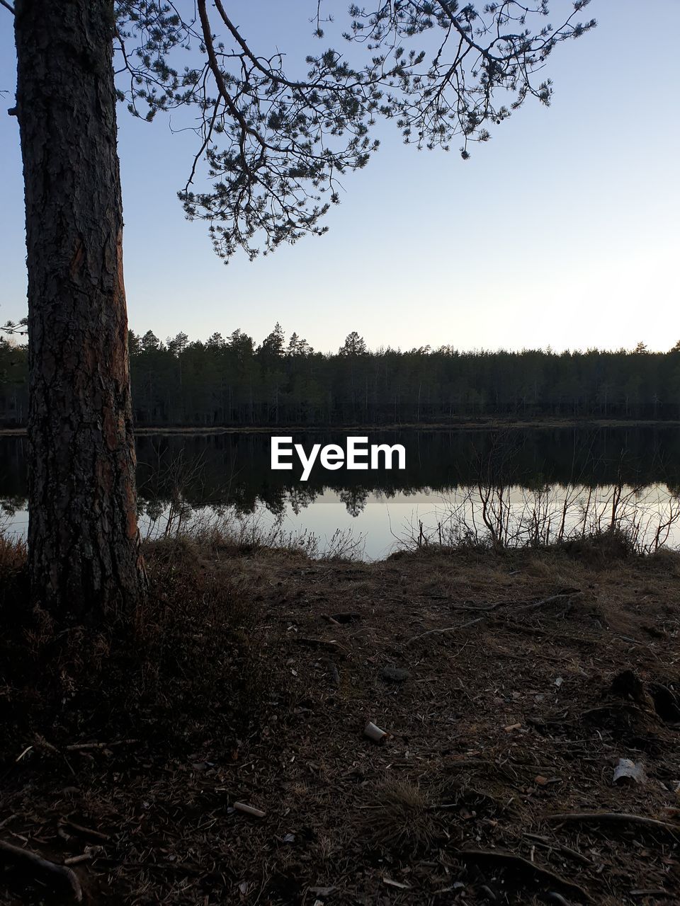 SCENIC VIEW OF LAKE BY TREES AGAINST SKY