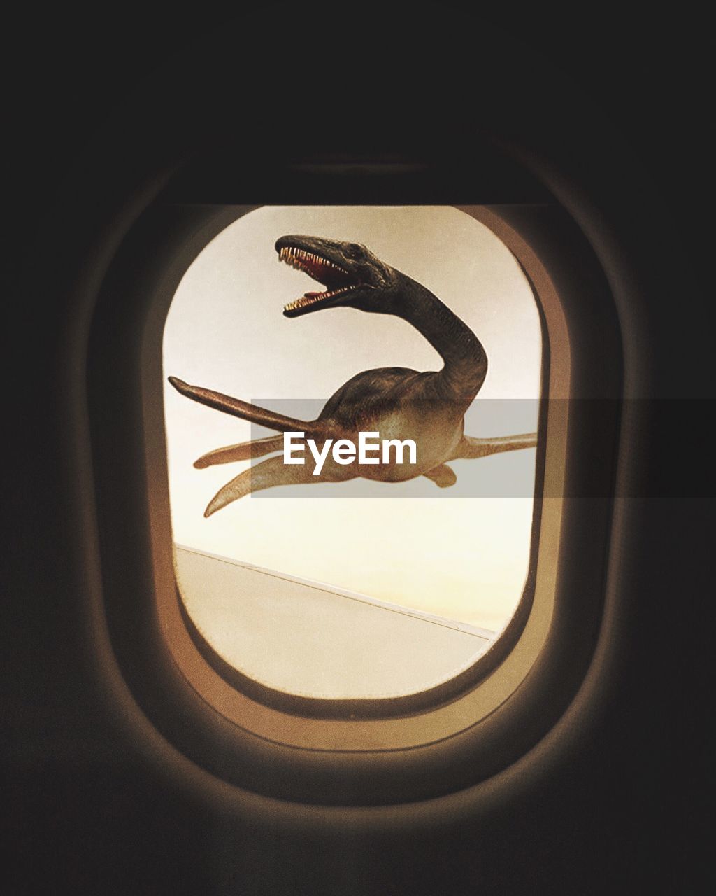 CLOSE-UP OF AIRPLANE ON WINDOW