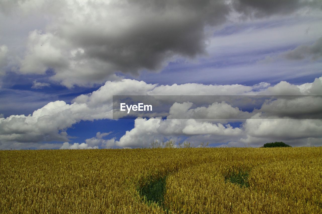 SCENIC VIEW OF LANDSCAPE AGAINST CLOUDY SKY