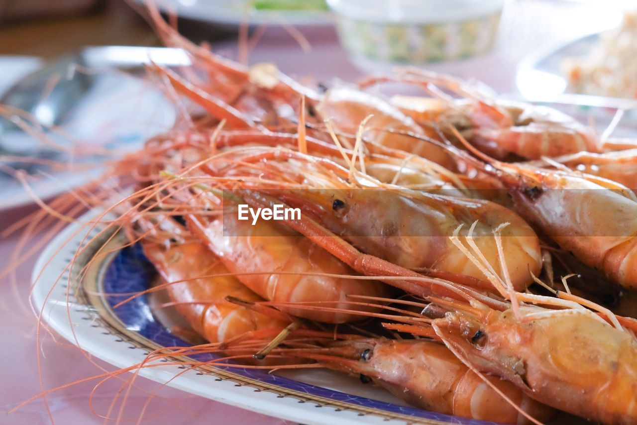 HIGH ANGLE VIEW OF SEAFOOD ON PLATE