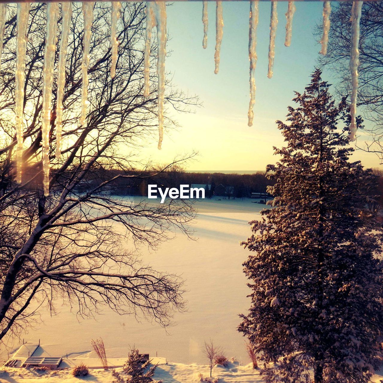 CLOSE-UP OF BARE TREES AGAINST SKY DURING SUNSET