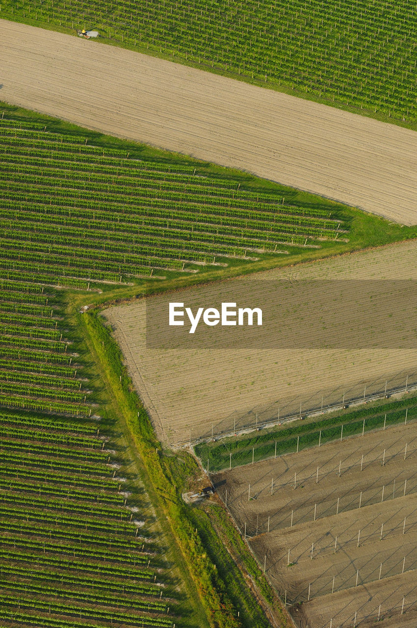 Aerial view of field boundaries