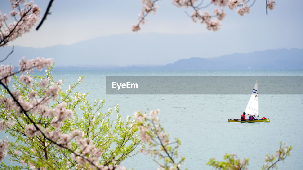 SCENIC VIEW OF SEA BY TREE MOUNTAIN AGAINST SKY