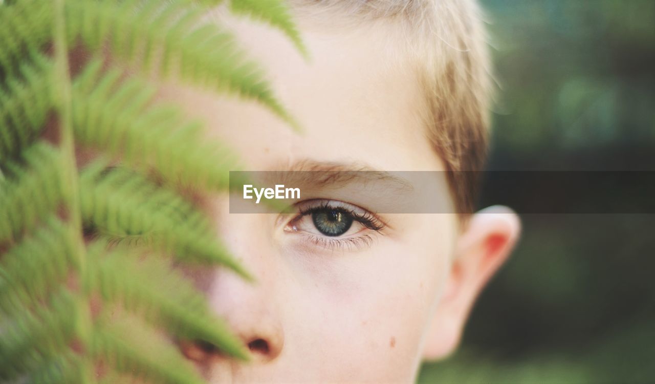 Close-up portrait of boy by fern