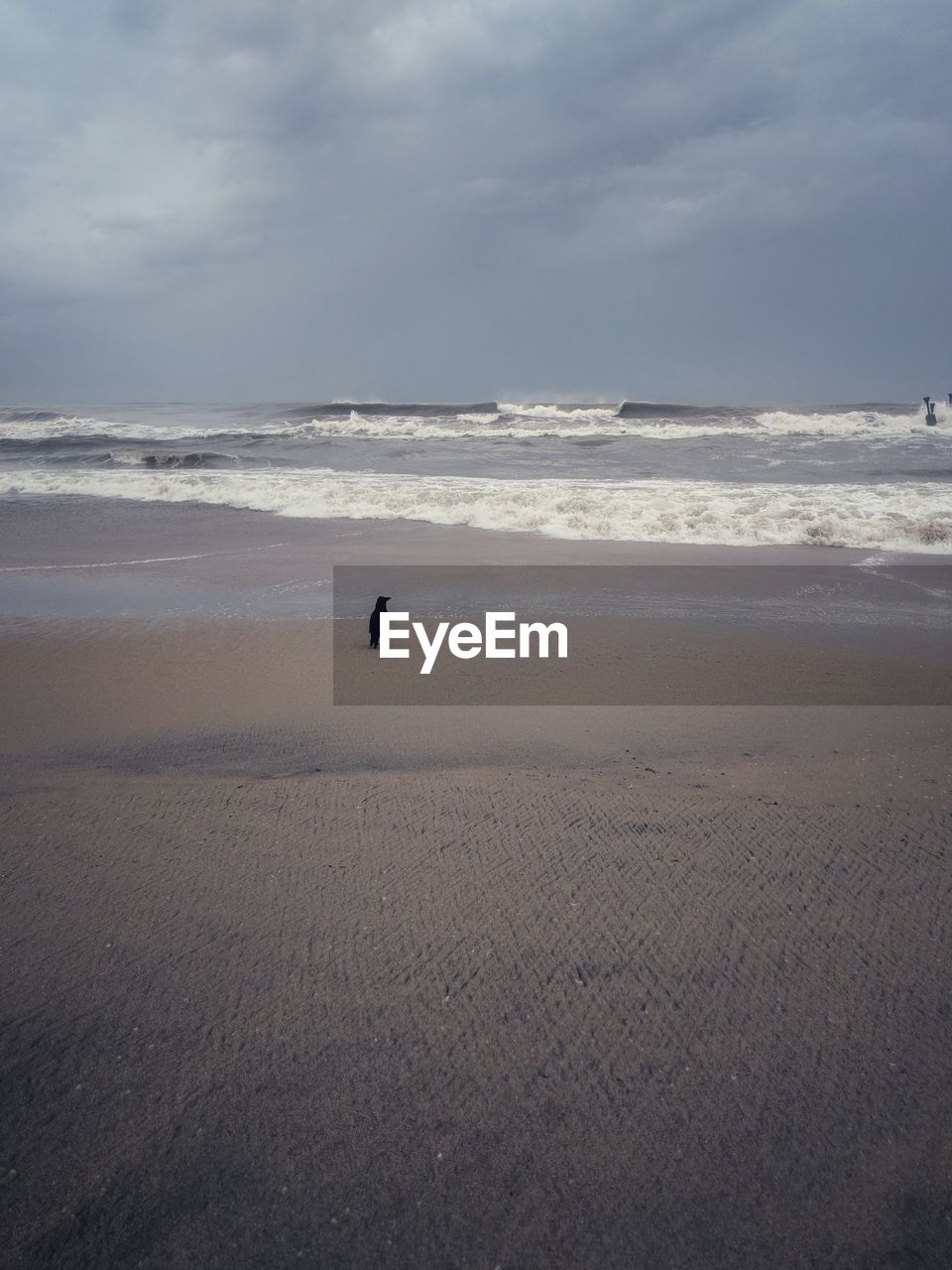 MAN ON BEACH AGAINST SKY