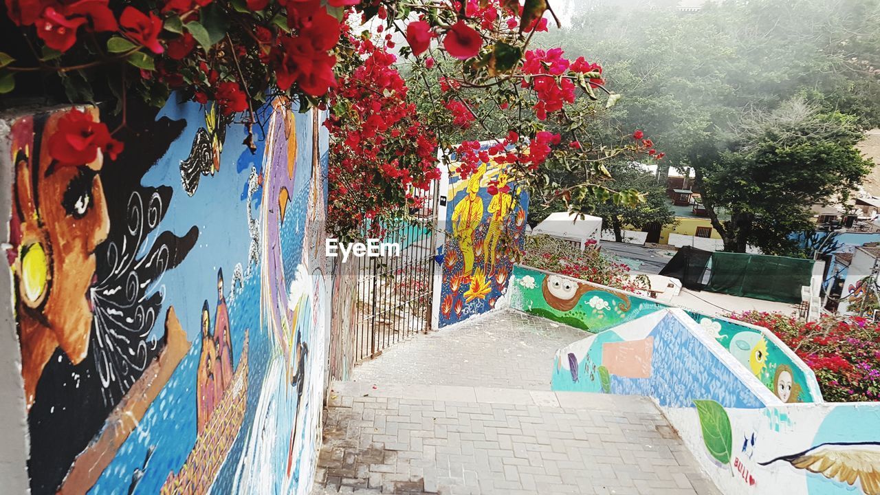 GRAFFITI ON WALL AMIDST TREES