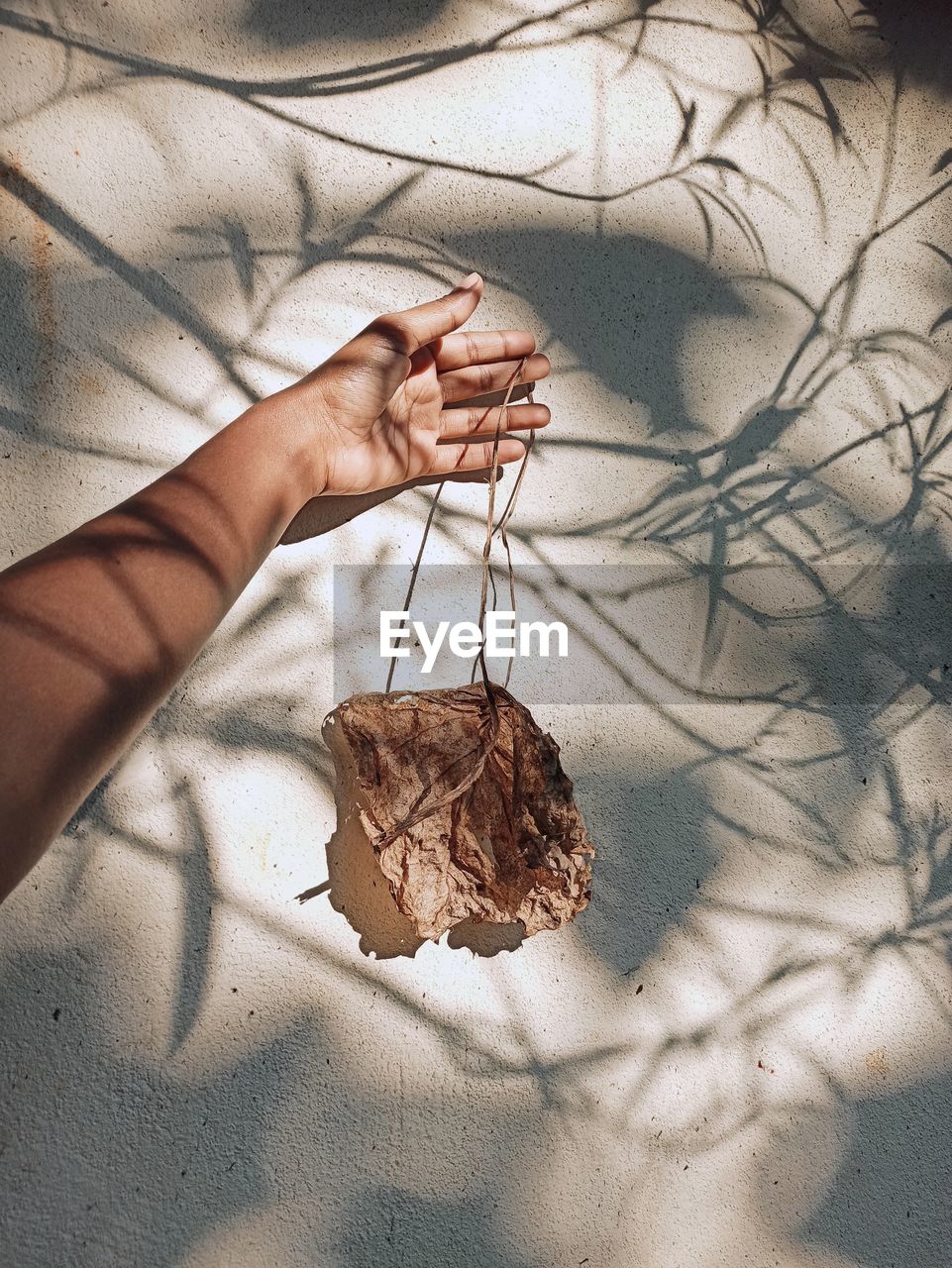 Close-up of hand holding dry leaf