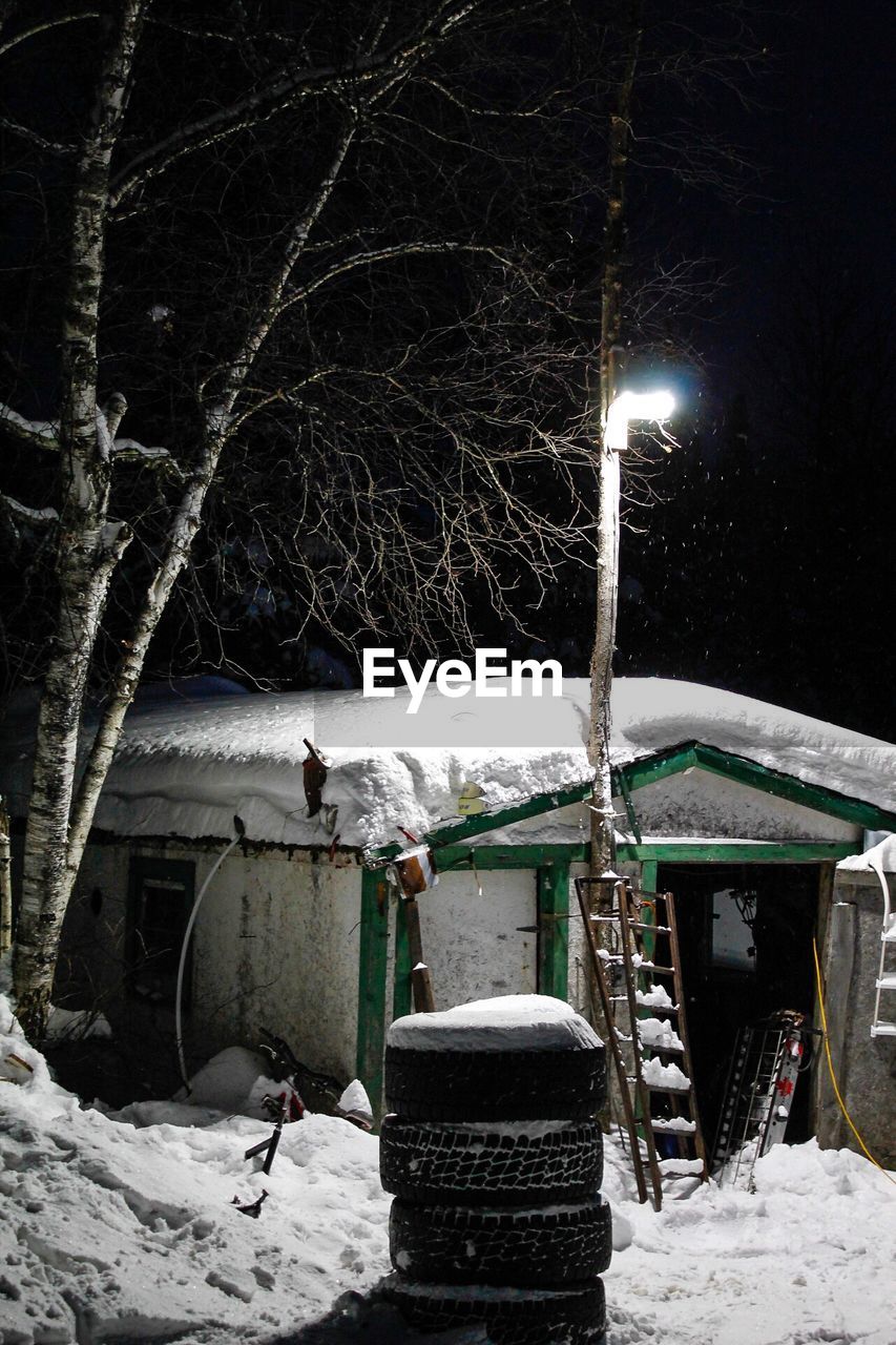 SNOW COVERED TREE DURING NIGHT