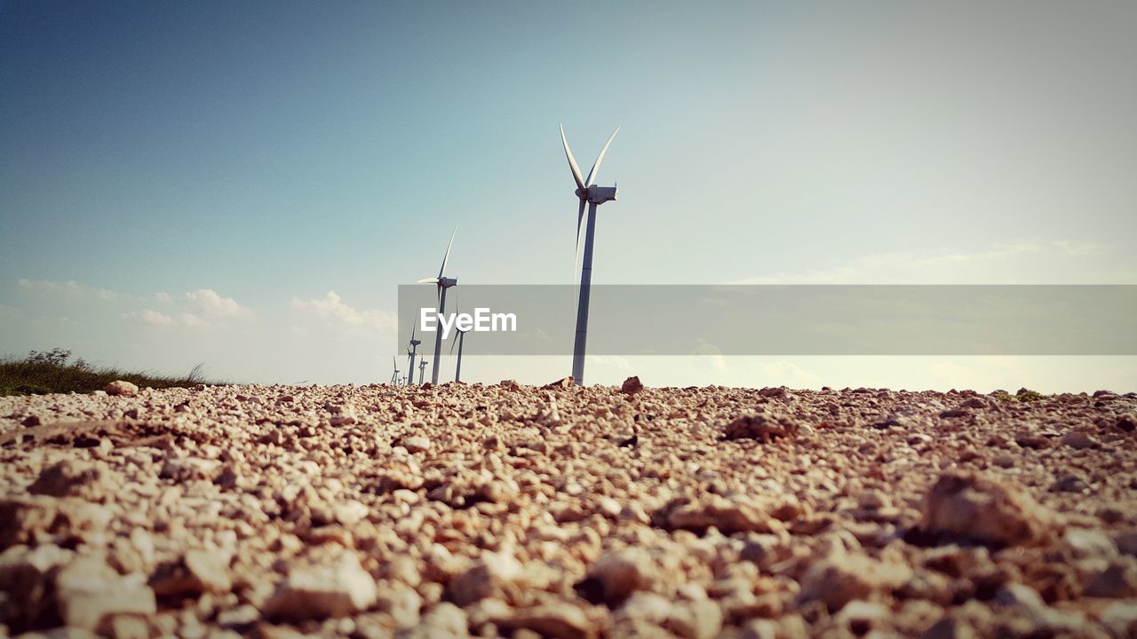 Wind turbines on field