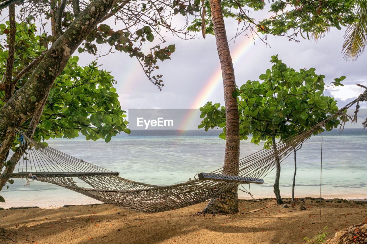 TREES ON BEACH AGAINST SEA