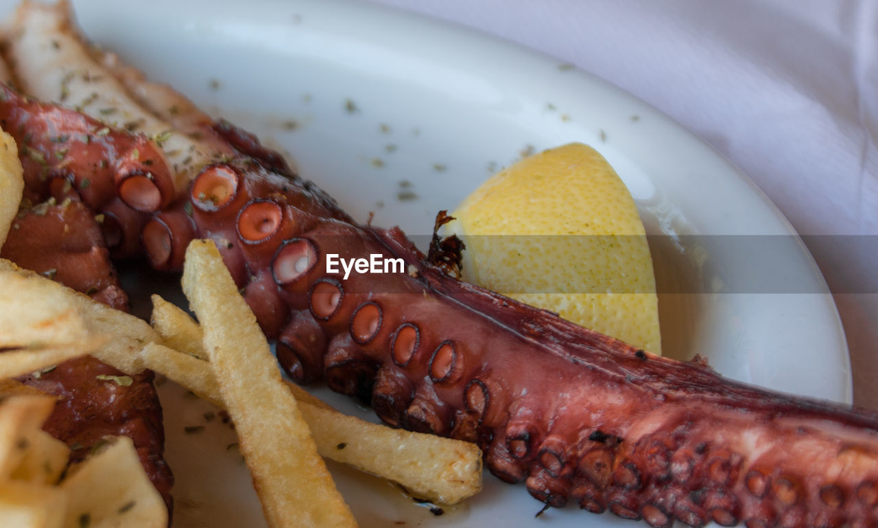 Close-up of roasted octopus in plate