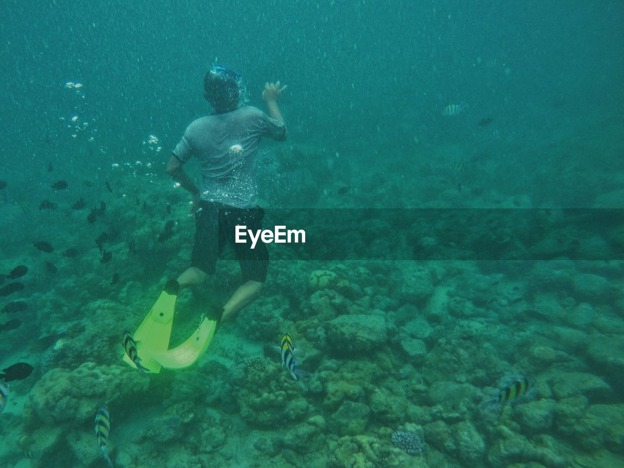 MAN SWIMMING UNDERWATER