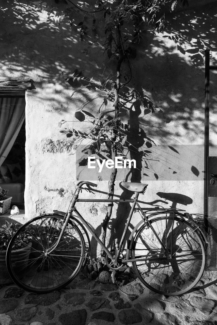 BICYCLE PARKED AGAINST WALL AND TREES