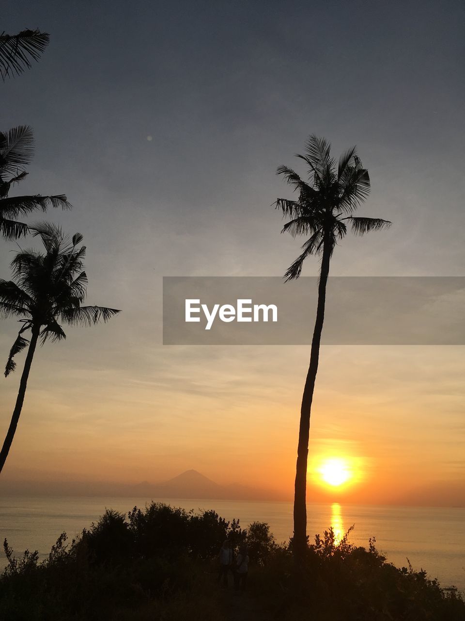 Silhouette palm tree by sea against sky during sunset