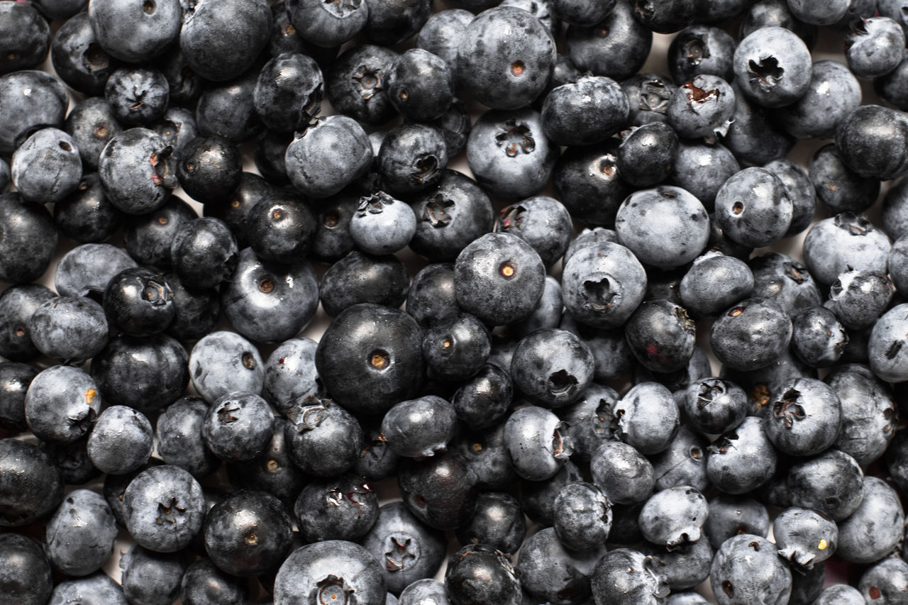 Full frame shot of blueberries