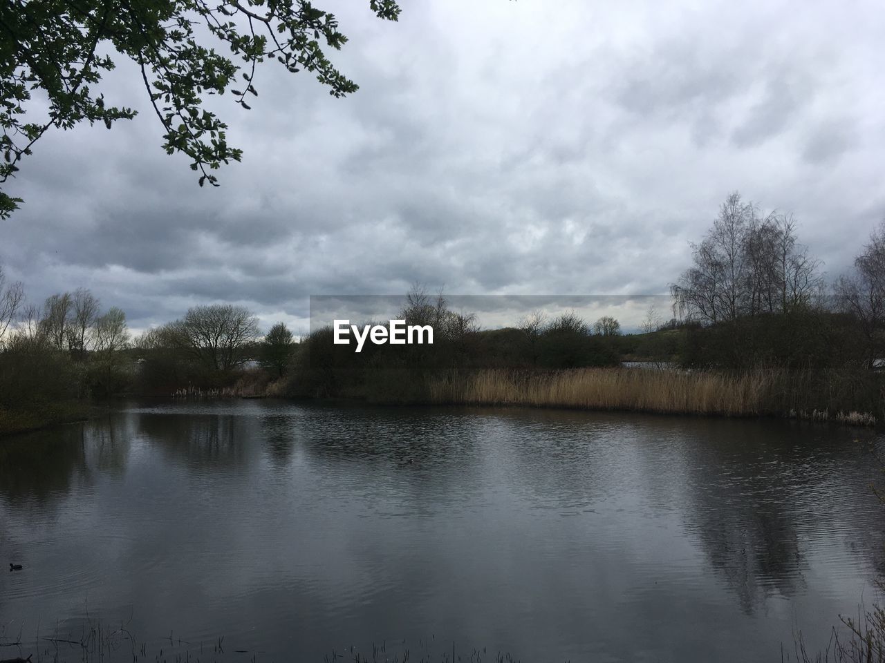 REFLECTION OF TREES ON LAKE AGAINST SKY