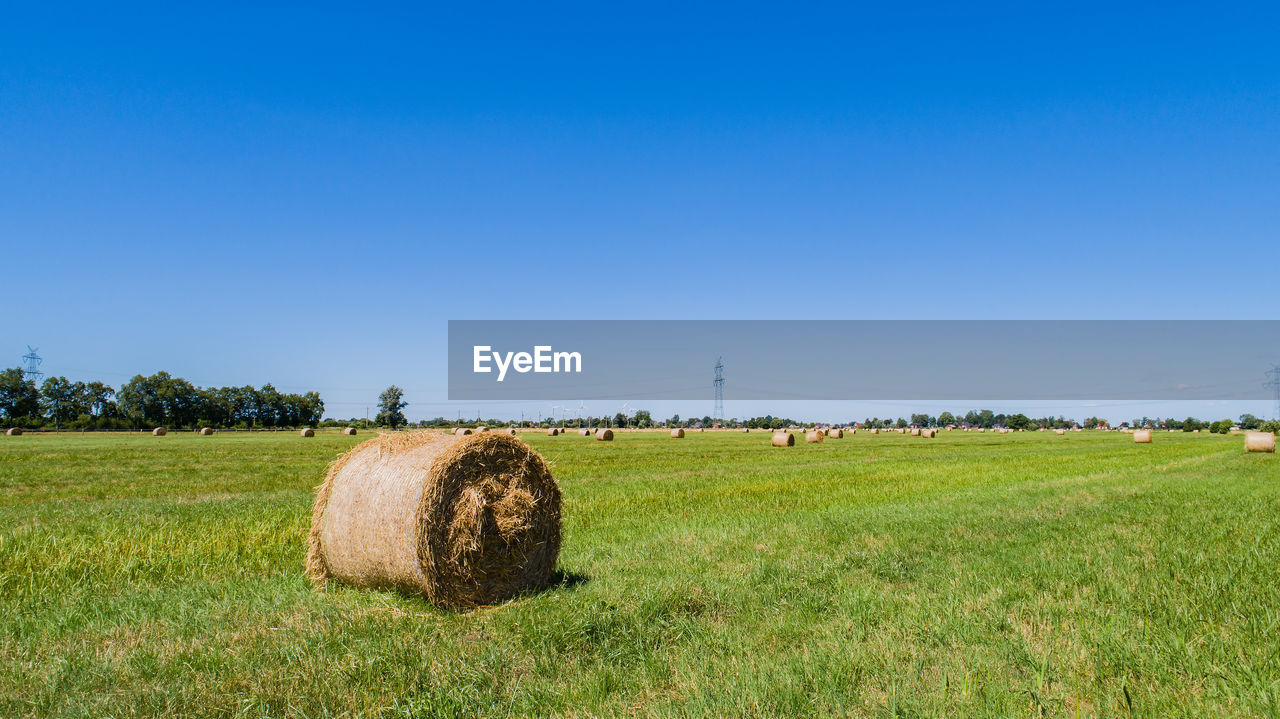 Hay bales on green landscape against blue sky