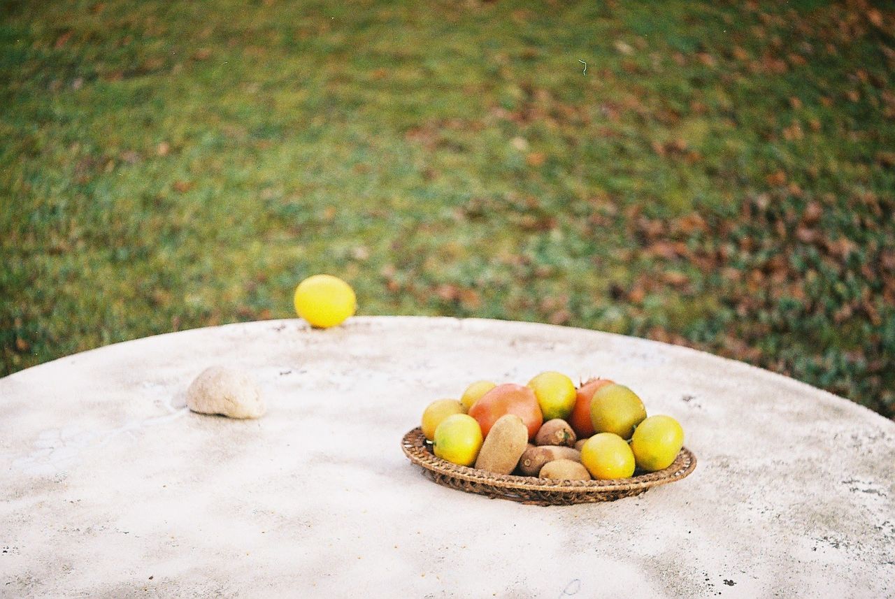 CLOSE-UP OF FRUITS IN FIELD