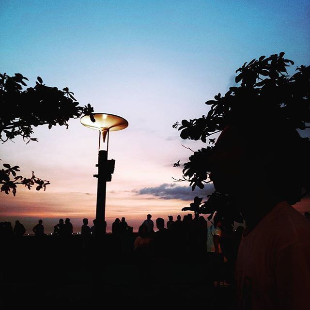 LOW ANGLE VIEW OF SILHOUETTE TREES AT DUSK