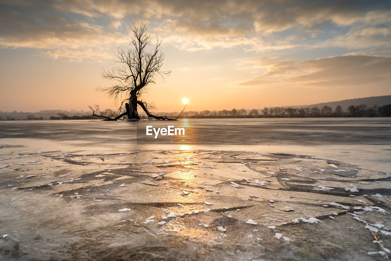 BARE TREES ON SNOW COVERED LANDSCAPE AGAINST SKY