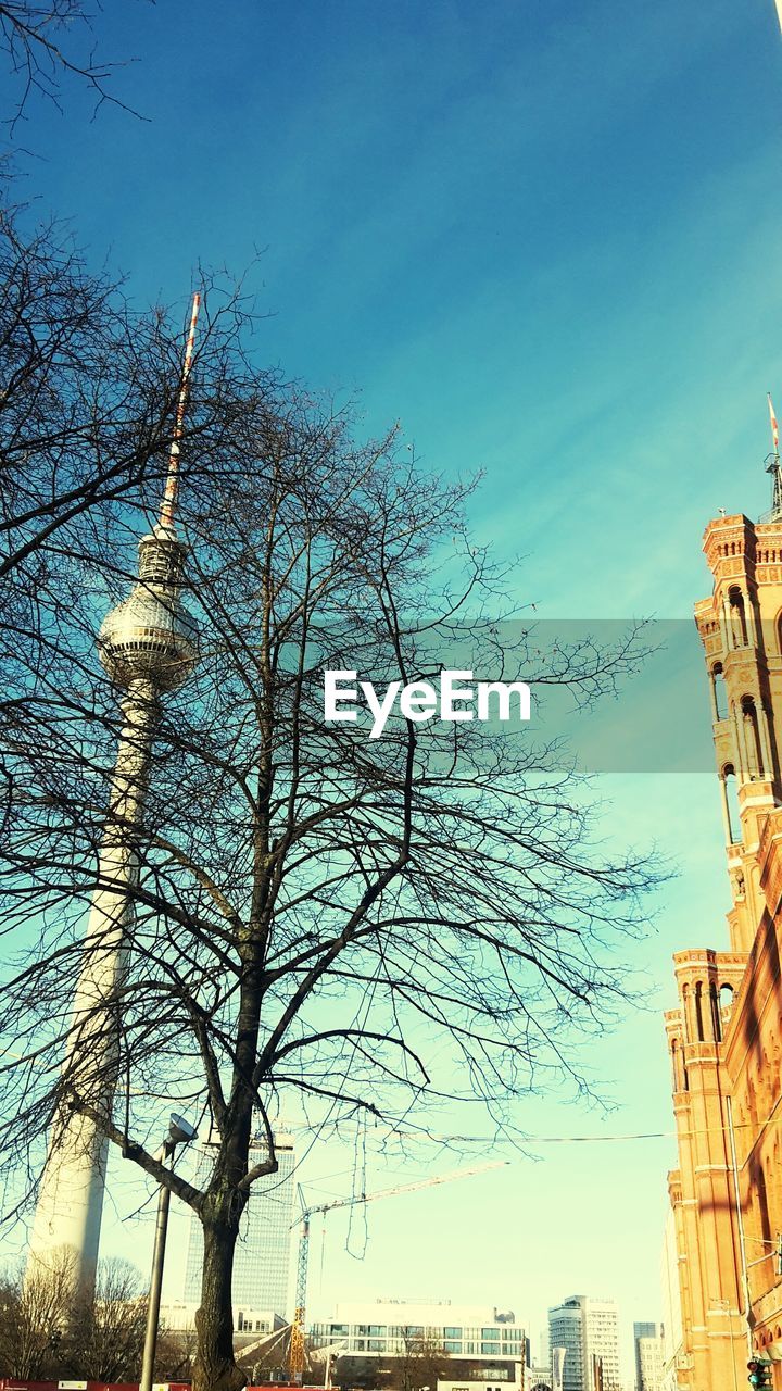 Low angle view of bare tree by fernsehturm against sky