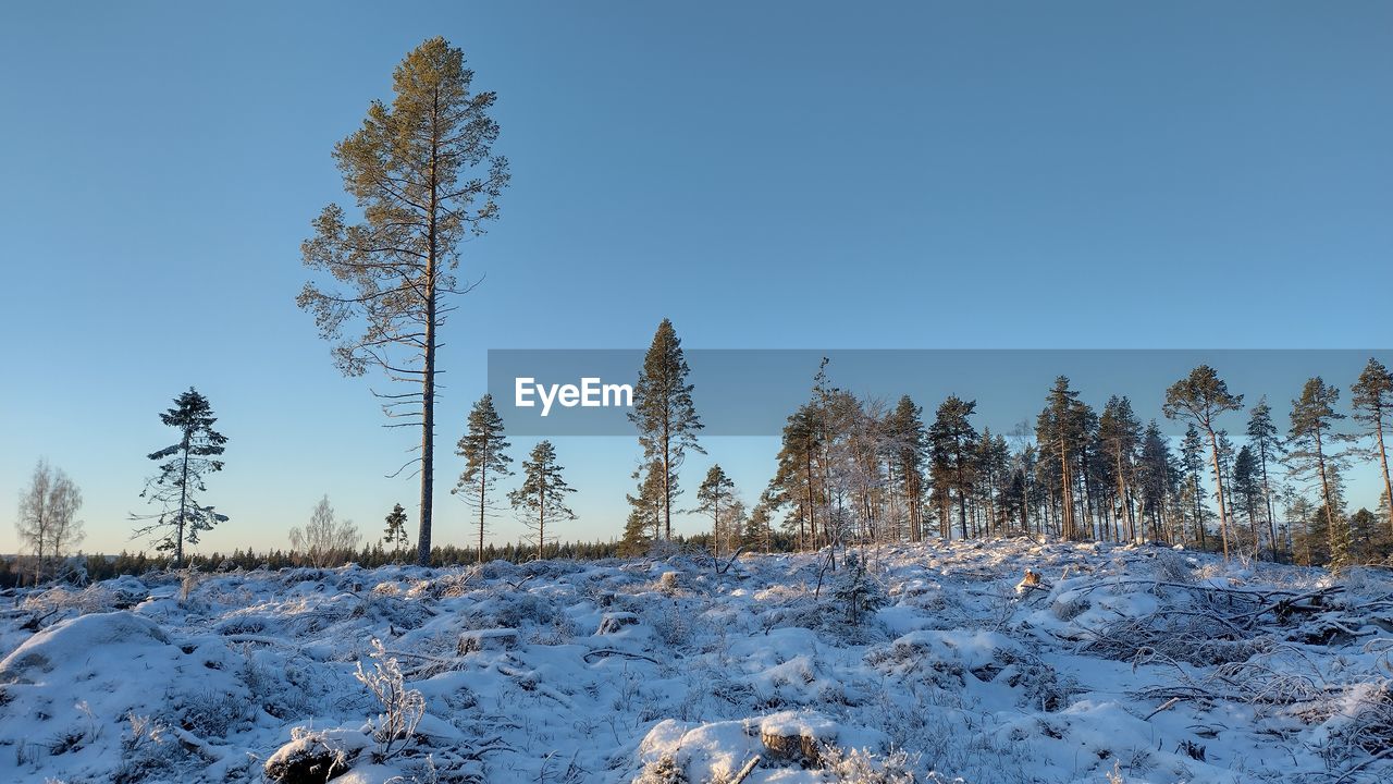 Scenic view of snow covered landscape against clear sky