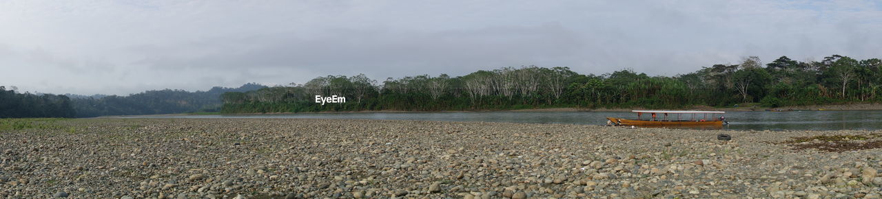 field, land, plant, agriculture, sky, nature, landscape, environment, tree, cloud, rural area, shore, crop, water, natural environment, wetland, rural scene, no people, scenics - nature, transportation, tranquility, river, beauty in nature, vehicle, day, outdoors, nautical vessel, soil, tranquil scene, marsh, non-urban scene, growth, farm, forest