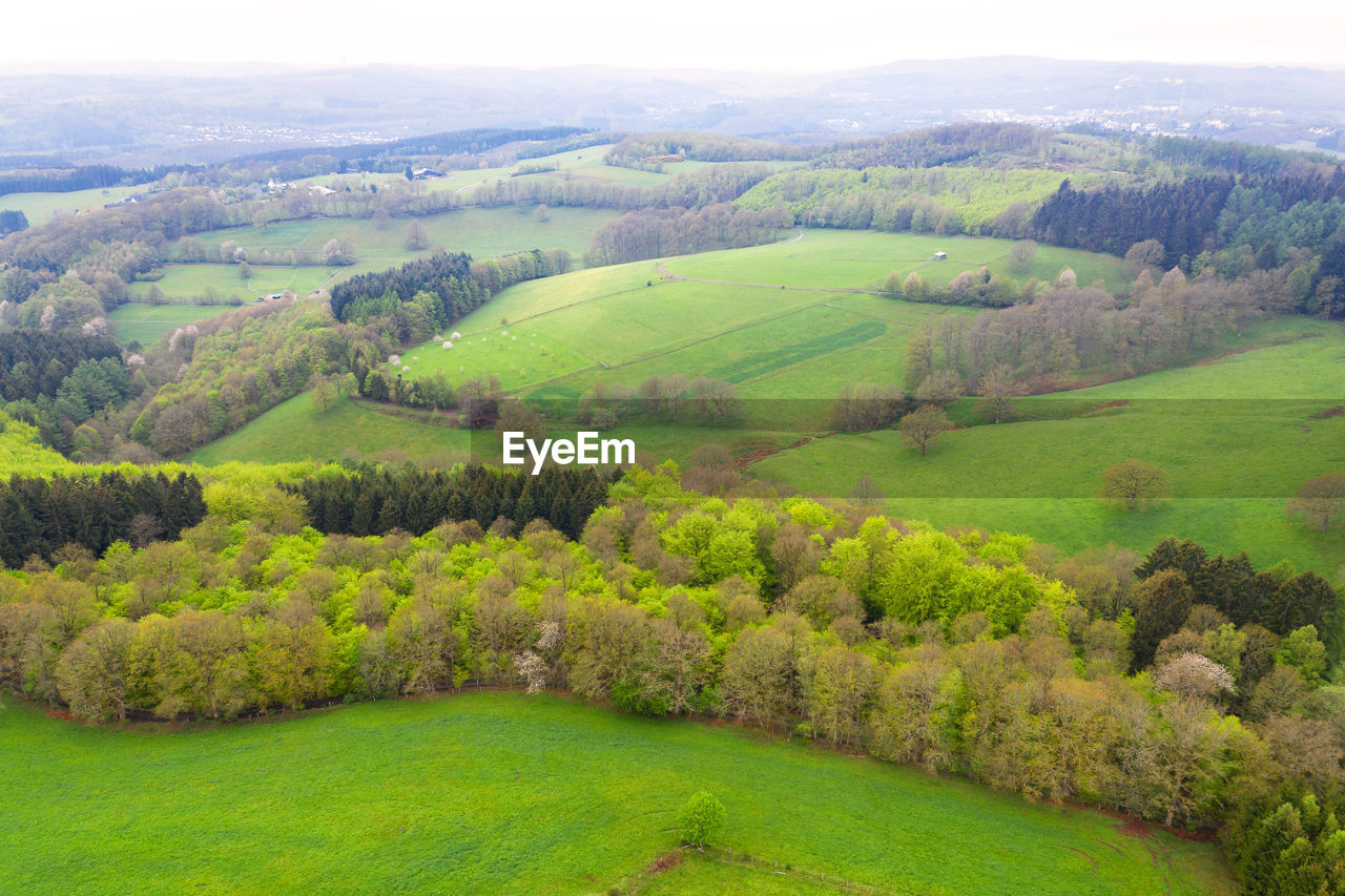 SCENIC VIEW OF GREEN LANDSCAPE AND HILLS