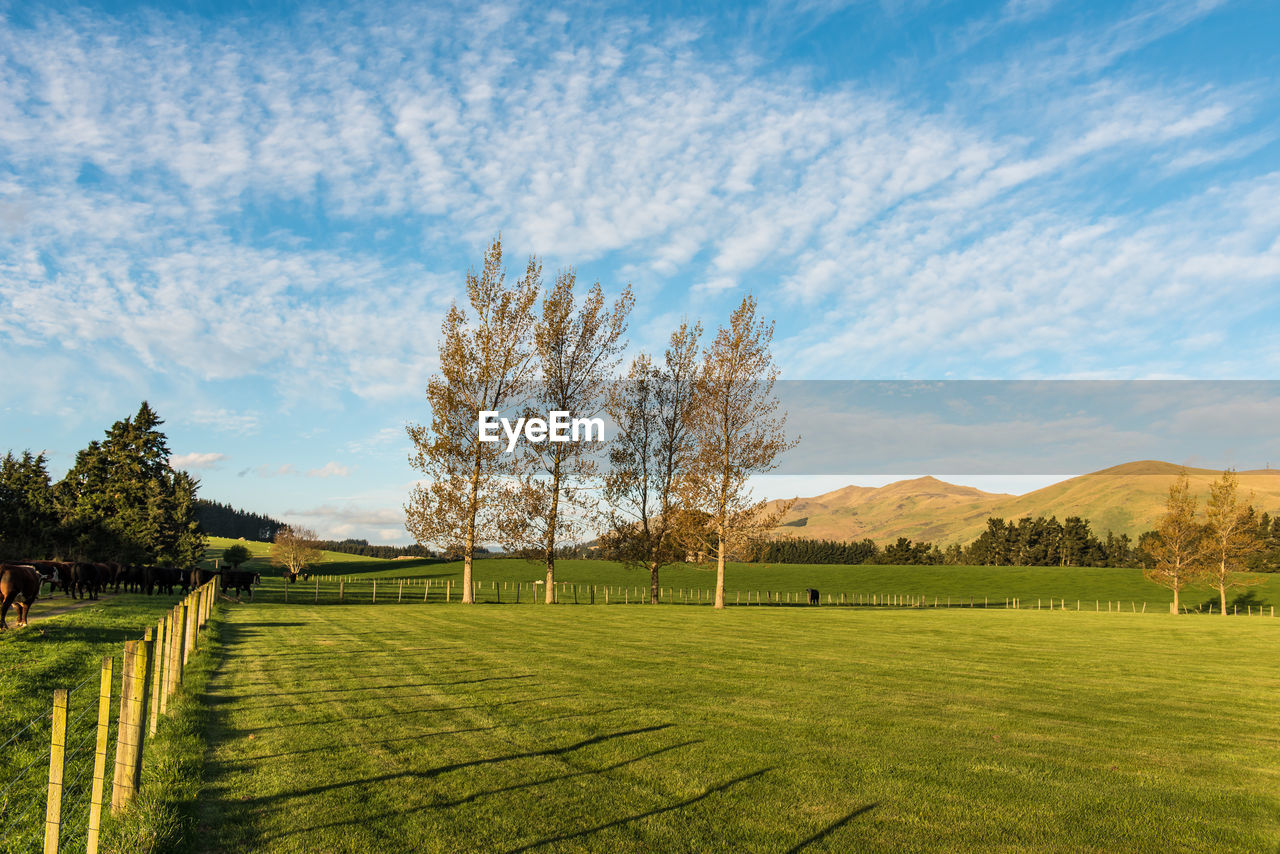 Scenic view of golf course against sky