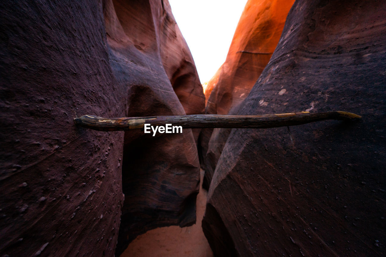 Low angle view of a horse on wall