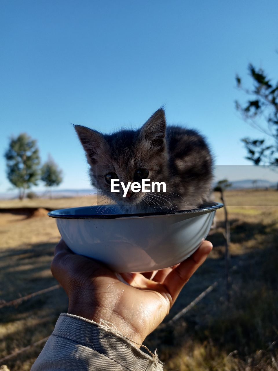 Midsection of person holding cat against sky