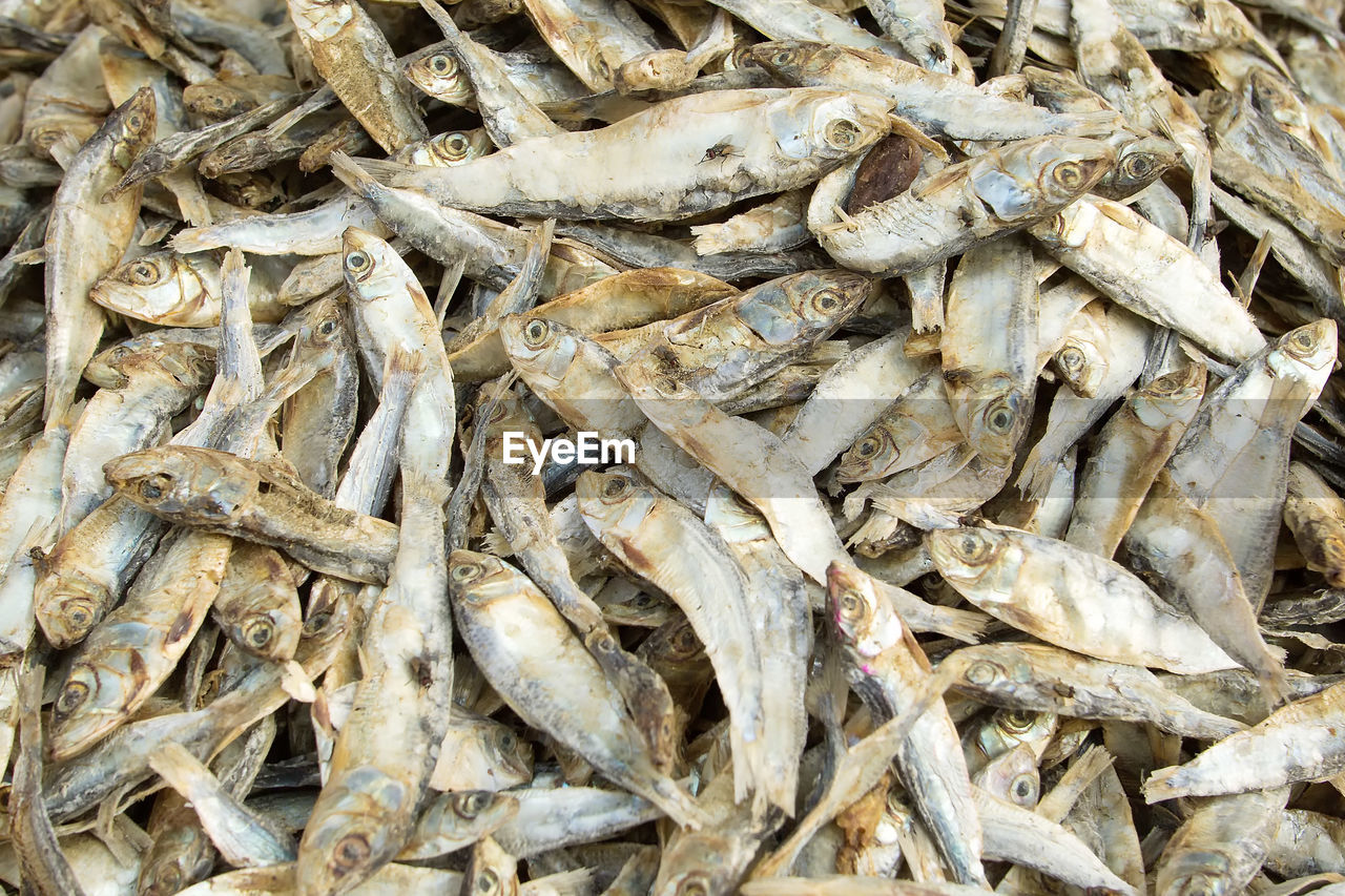 FULL FRAME SHOT OF FISH FOR SALE AT MARKET STALL