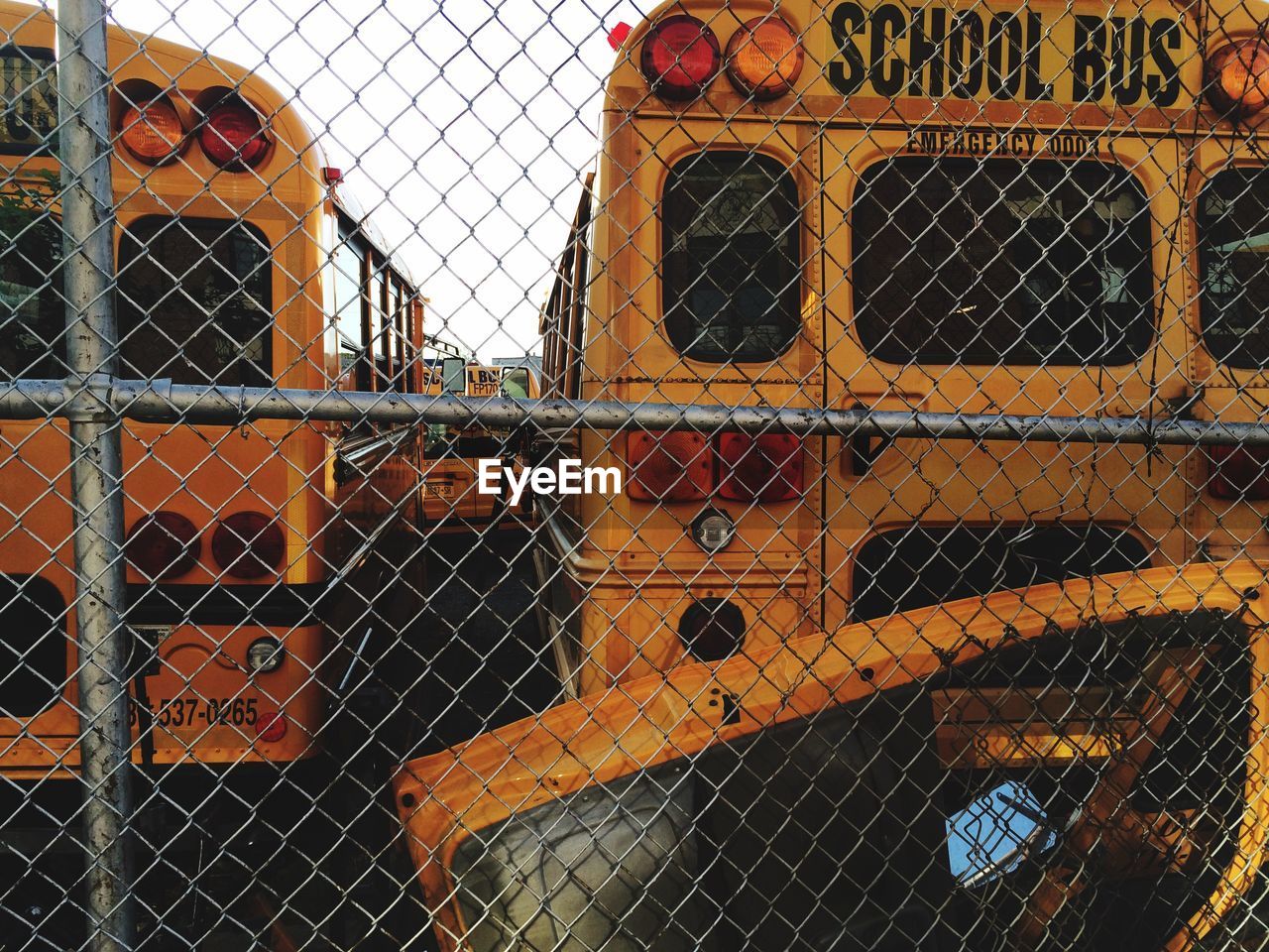 School buses in parking lot seen through chainlink fence