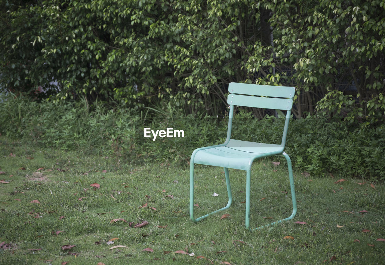 EMPTY BENCH ON FIELD BY TREES