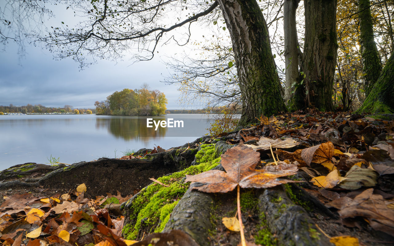scenic view of lake against sky during sunrise
