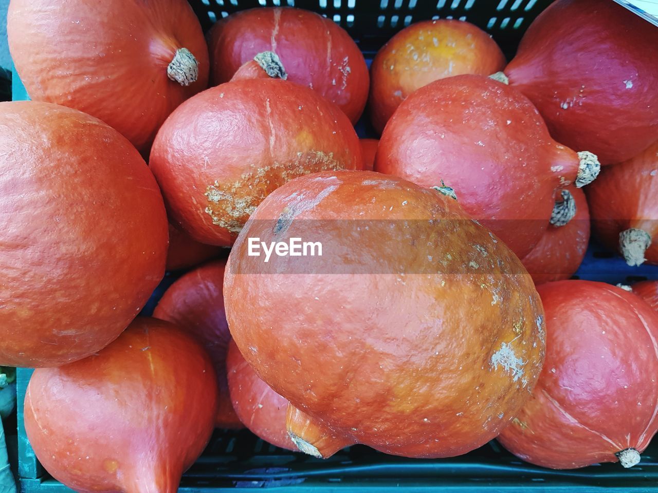 High angle view of pumpkins in basket for sale at market